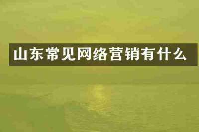 山东常见网络营销有什么