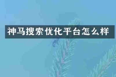 神马搜索优化平台怎么样