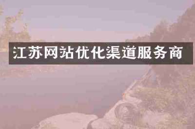 江苏网站优化渠道服务商