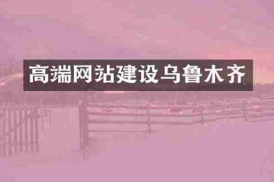 高端网站建设乌鲁木齐