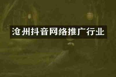 沧州抖音网络推广行业