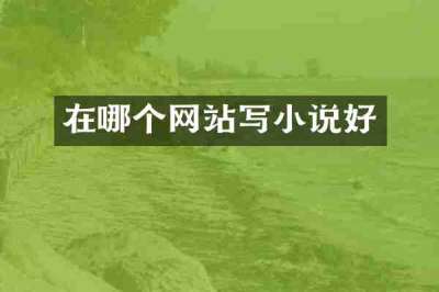 在哪个网站写小说好