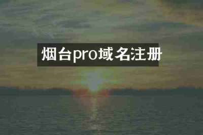 烟台pro域名注册