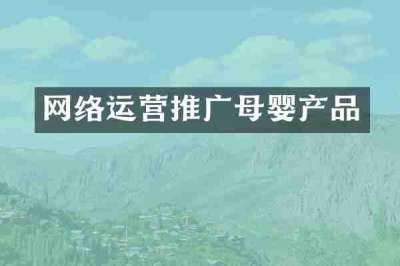 网络运营推广母婴产品