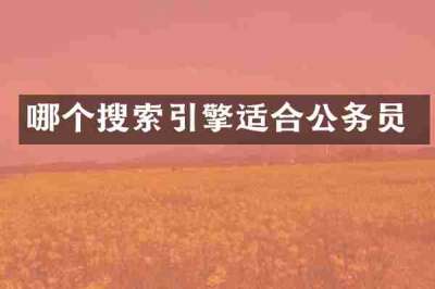 哪个搜索引擎适合公务员