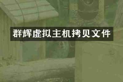 群辉虚拟主机拷贝文件