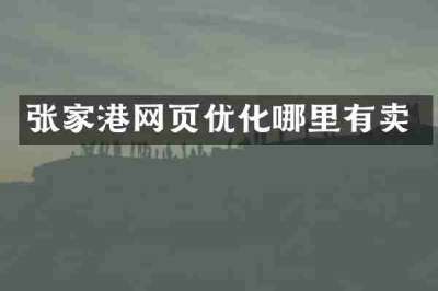 张家港网页优化哪里有卖