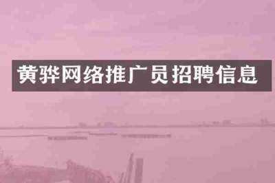 黄骅网络推广员招聘信息