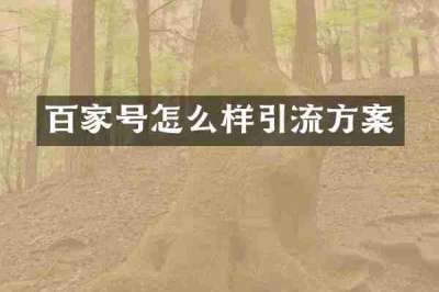 百家号怎么样引流方案
