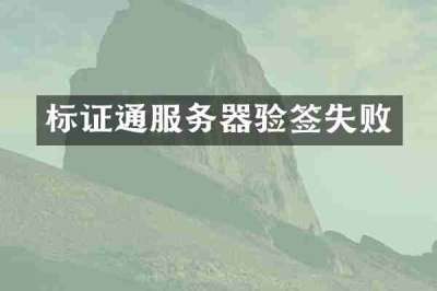 标证通服务器验签失败