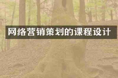 网络营销策划的课程设计
