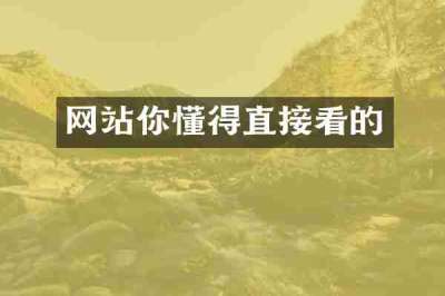 网站你懂得直接看的