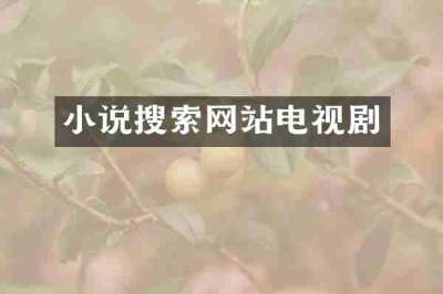 小说搜索网站电视剧