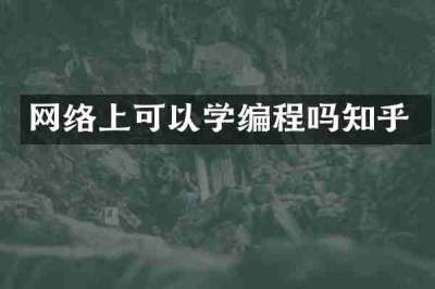 网络上可以学编程吗知乎