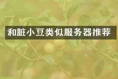 和脏小豆类似服务器推荐