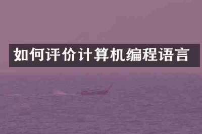 如何评价计算机编程语言