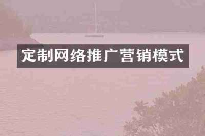 定制网络推广营销模式