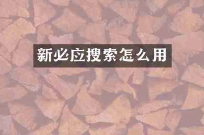 新必应搜索怎么用