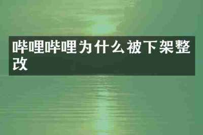 哔哩哔哩为什么被下架整改