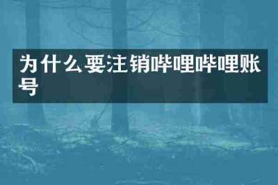 为什么要注销哔哩哔哩账号