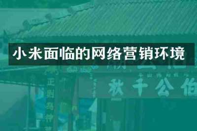 小米面临的网络营销环境