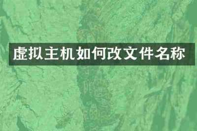 虚拟主机如何改文件名称