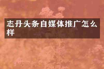 志丹头条自媒体推广怎么样