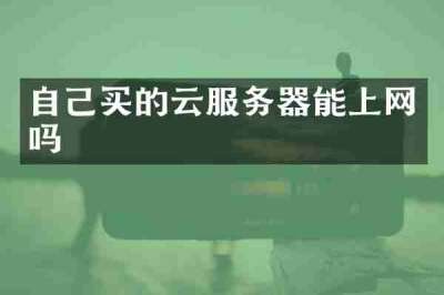 自己买的云服务器能上网吗