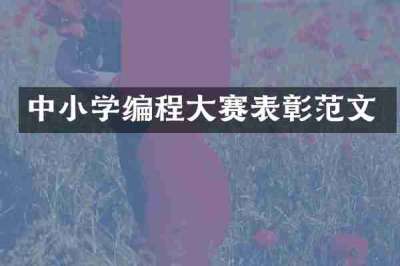 中小学编程大赛表彰范文