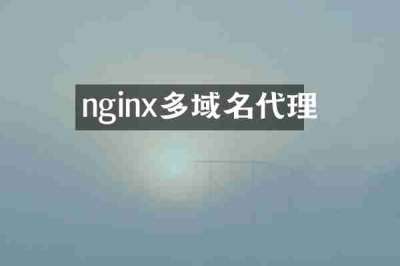 nginx多域名代理