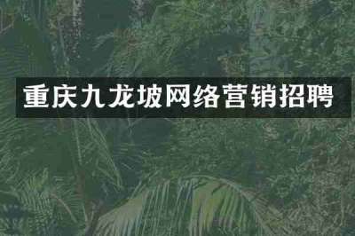 重庆九龙坡网络营销招聘