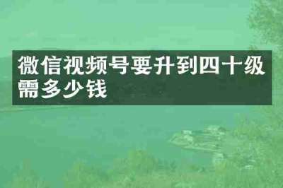 微信视频号要升到四十级需多少钱
