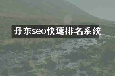 丹东seo快速排名系统
