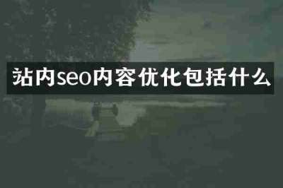 站内seo内容优化包括什么