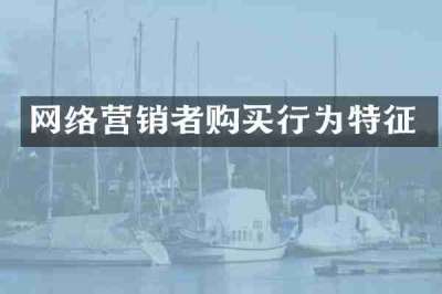 网络营销者购买行为特征