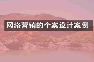 网络营销的个案设计案例