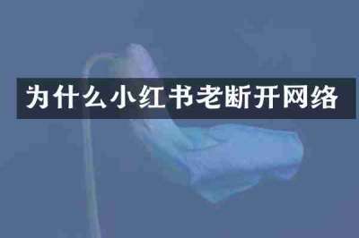 为什么小红书老断开网络