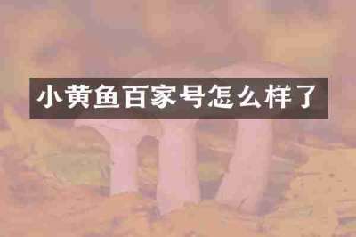 小黄鱼百家号怎么样了