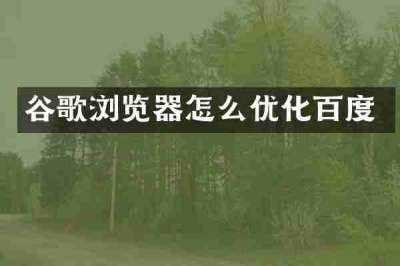 谷歌浏览器怎么优化百度