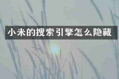 小米的搜索引擎怎么隐藏