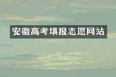 安徽高考填报志愿网站