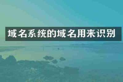 域名系统的域名用来识别