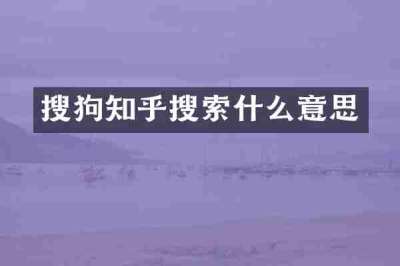 搜狗知乎搜索什么意思