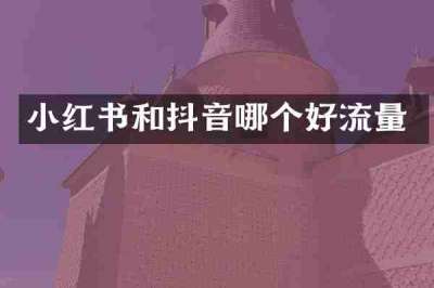 小红书和抖音哪个好流量