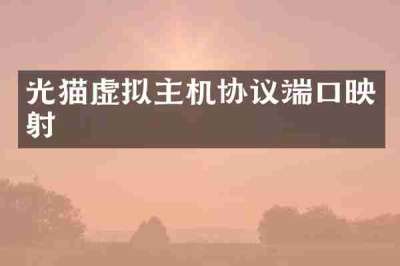 光猫虚拟主机协议端口映射