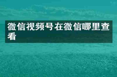 微信视频号在微信哪里查看