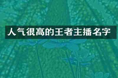 人气很高的王者主播名字