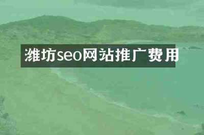 潍坊seo网站推广费用
