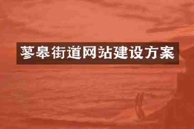 蓼皋街道网站建设方案