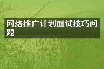 网络推广计划面试技巧问题